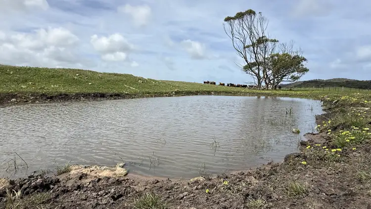 Fourth view of Homely rural property listing, 175 Pethers Lane, Canunda SA 5280