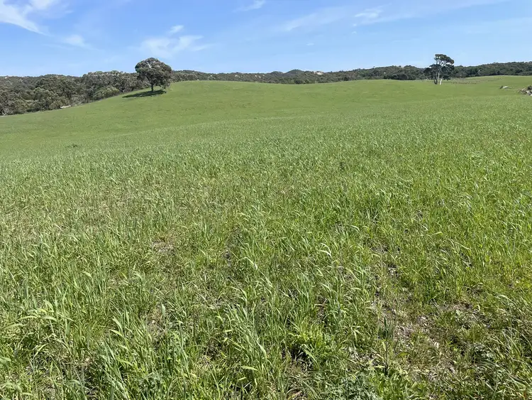 Sixth view of Homely rural property listing, 175 Pethers Lane, Canunda SA 5280