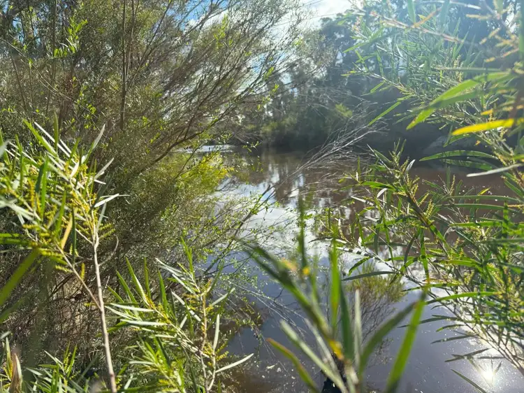 Main view of Homely land listing, 89 Fletcher Road, Fletcher QLD 4381