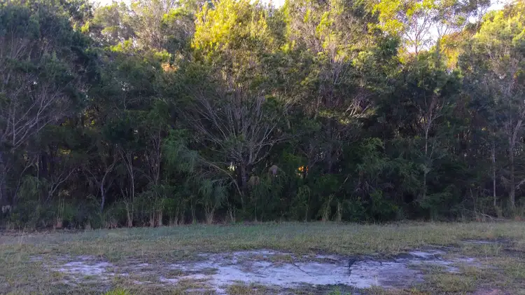Third view of Homely land listing, 25 Magnolia St, Russell Island QLD 4184