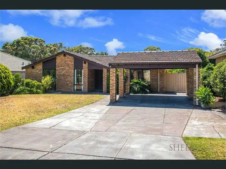 4 Hodgson Place, Kardinya WA 6163