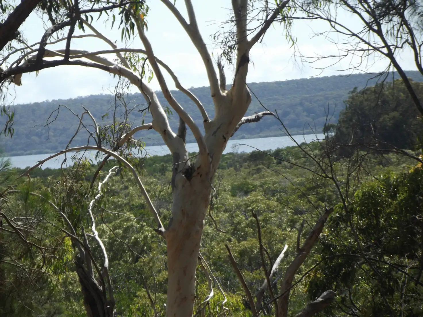 Main view of Homely land listing, 24-26 Timothy Street, Macleay Island QLD 4184
