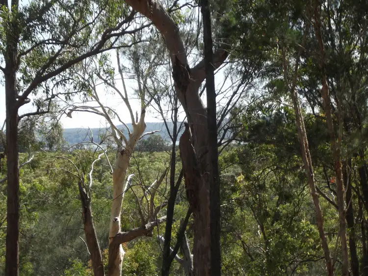 Sixth view of Homely land listing, 24-26 Timothy Street, Macleay Island QLD 4184