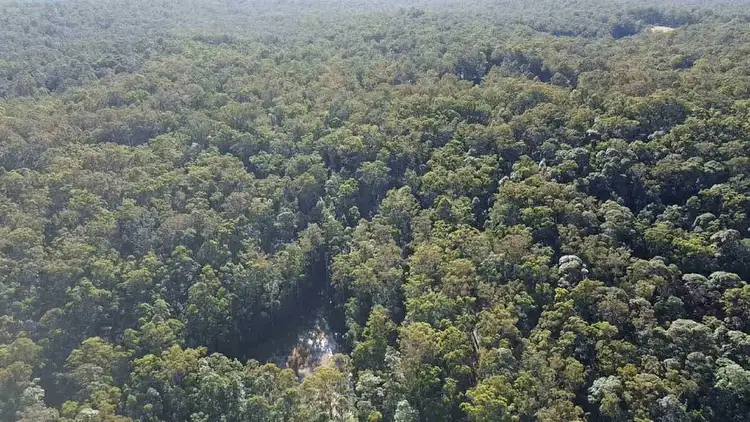 Second view of Homely rural property listing, 1 Rainbows End Rd, Dondingalong NSW 2440