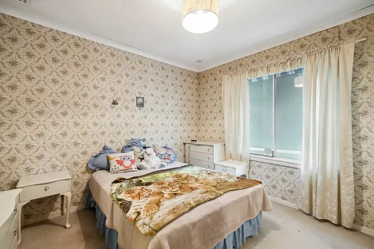 208 Woodside St, Doubleview WA 6018