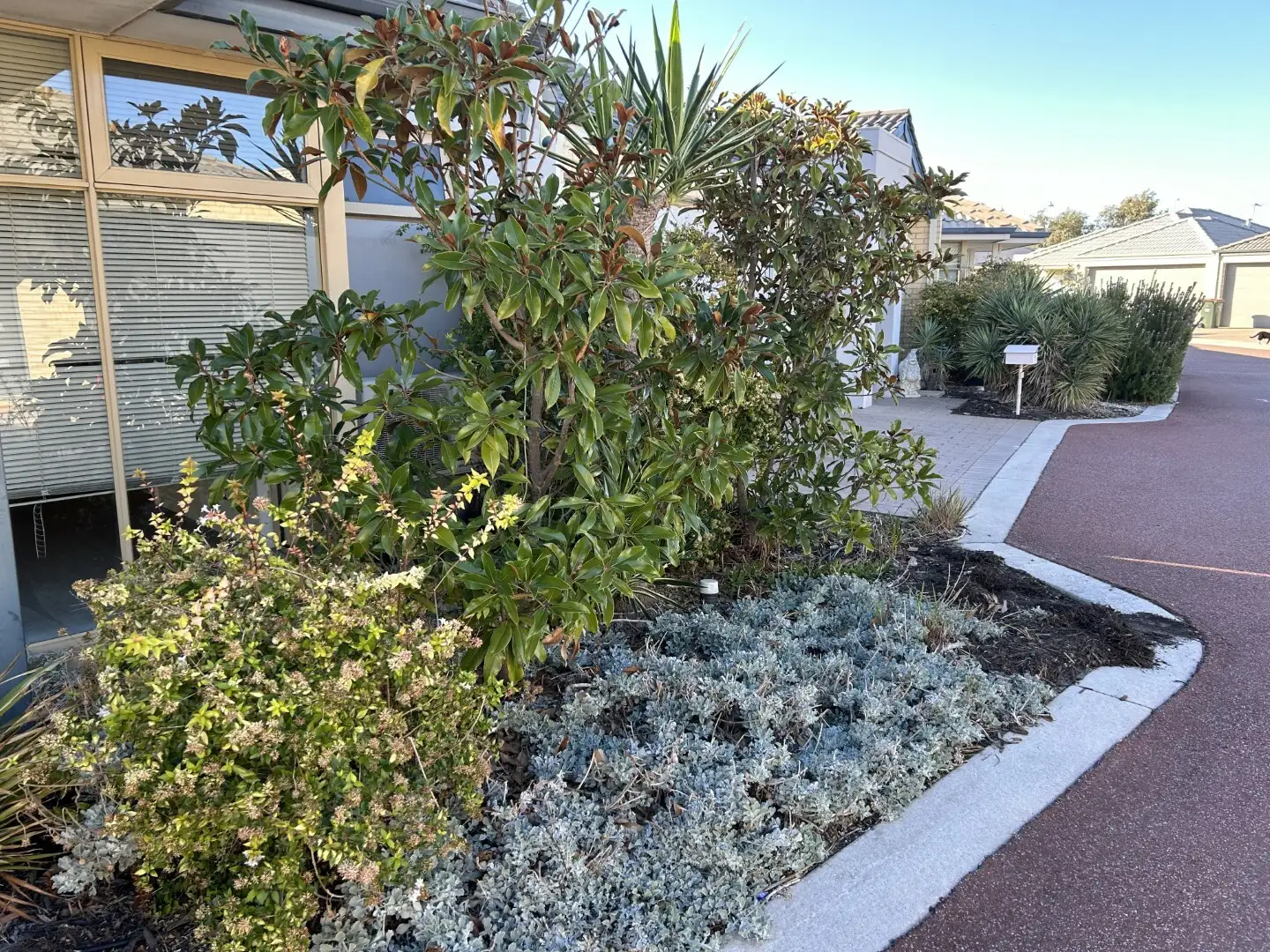 Main view of Homely house listing, Unit 7/18 Oligantha Elb, Banksia Grove WA 6031