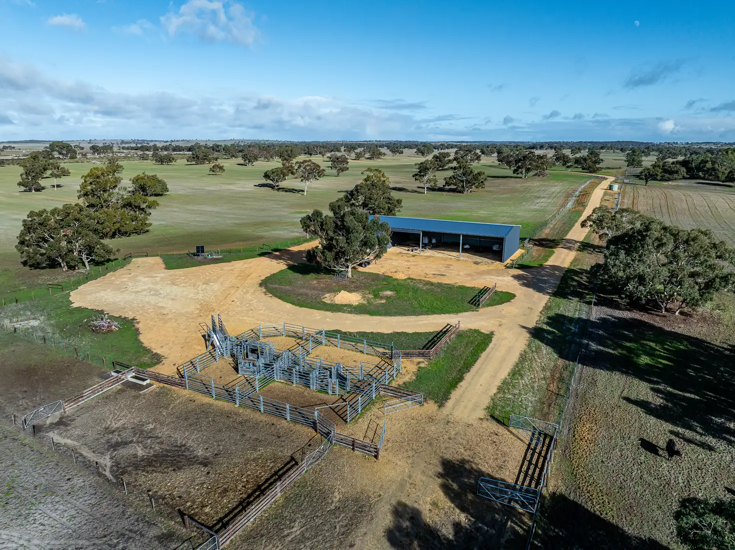 Main view of Homely rural property listing, 1911 Cadgee Road, Naracoorte SA 5271