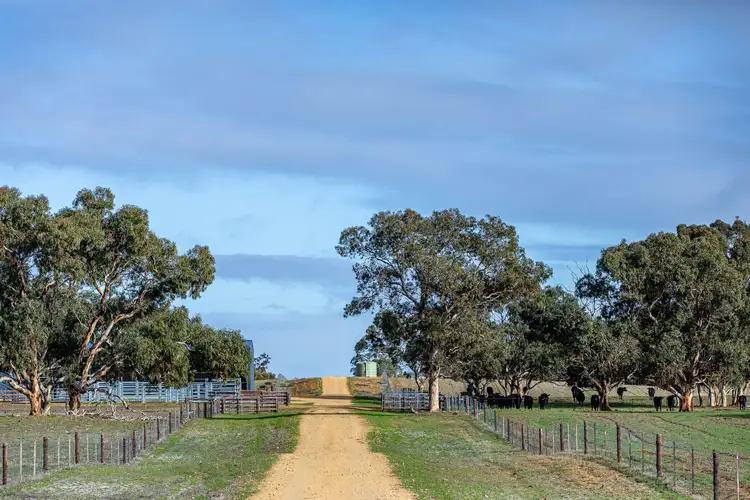 Fifth view of Homely rural property listing, 1911 Cadgee Road, Naracoorte SA 5271