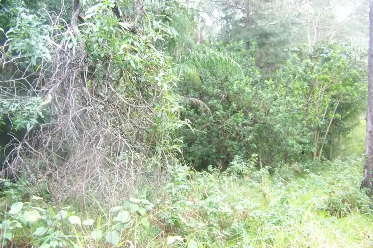 Fourth view of Homely land listing, 74 Lucas Dr, Lamb Island QLD 4184