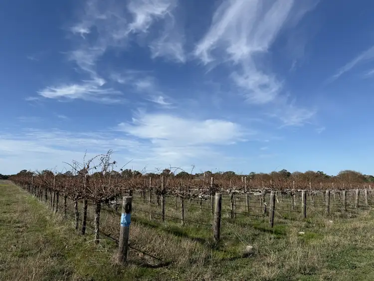 Fifth view of Homely land listing, Lot 106 Dergholm Road, Penola SA 5277
