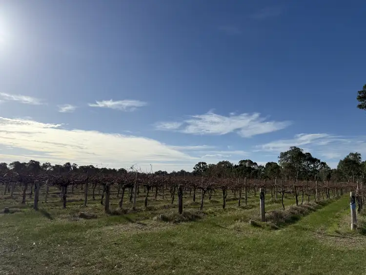 Seventh view of Homely land listing, Lot 106 Dergholm Road, Penola SA 5277