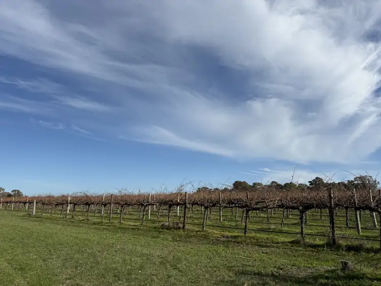 Sixth view of Homely land listing, Lot 103 Dergholm Road, Penola SA 5277