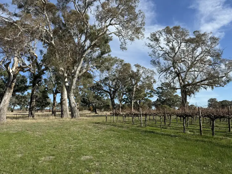 Fifth view of Homely land listing, Lot 104 Dergholm Road, Penola SA 5277