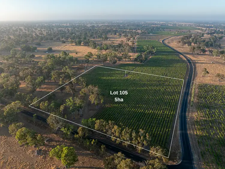 Lot 105 Dergholm Road, Penola SA 5277