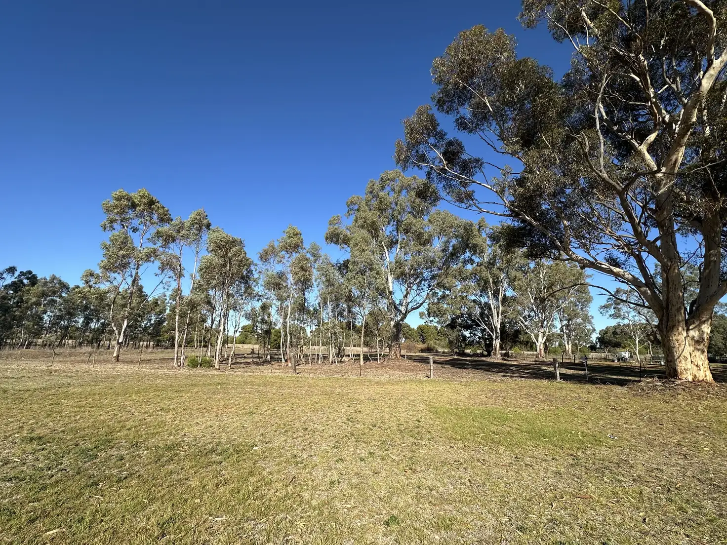 Main view of Homely land listing, 3 Charles Street, Caltowie SA 5490