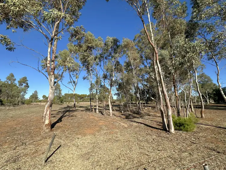 Third view of Homely land listing, 3 Charles Street, Caltowie SA 5490