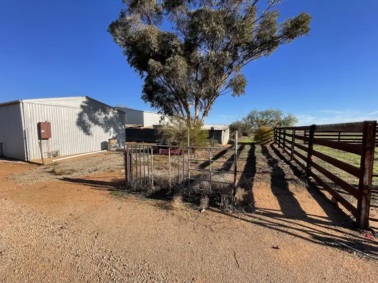 Sixth view of Homely rural property listing, 59 Heritage Rd, Warnertown SA 5540