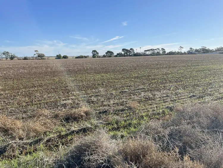 Main view of Homely rural property listing, Lot 405 North West Terrace, Warnertown SA 5540