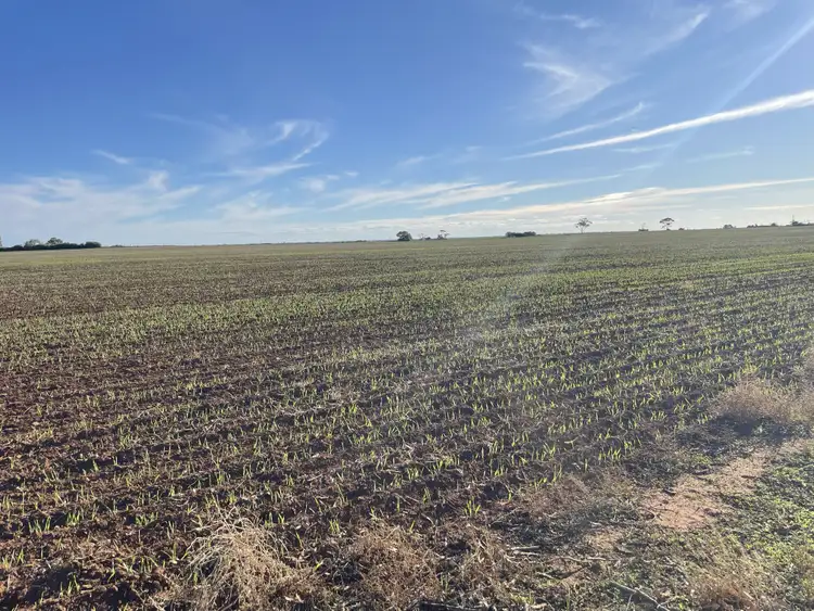Second view of Homely rural property listing, Lot 405 North West Terrace, Warnertown SA 5540