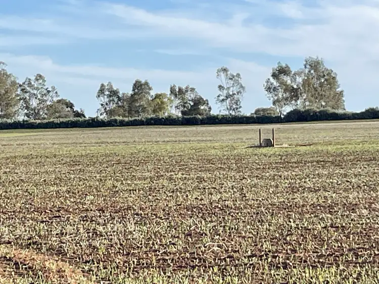 Third view of Homely rural property listing, Lot 405 North West Terrace, Warnertown SA 5540