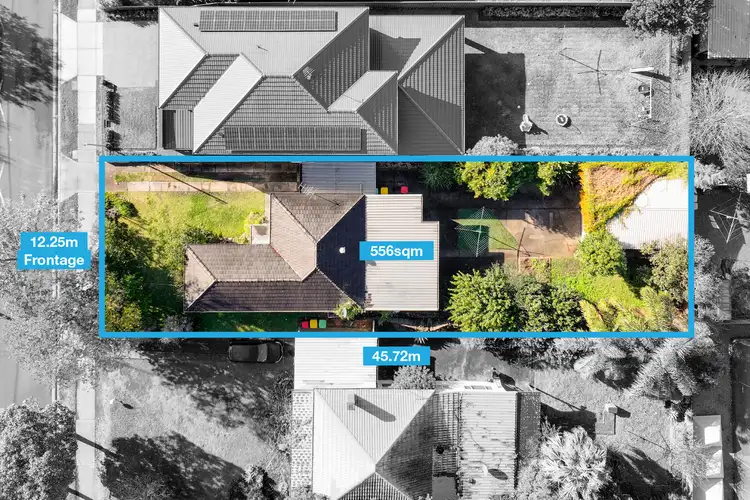 253 Tower St, Panania NSW 2213