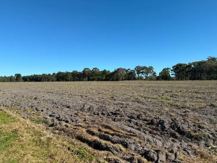Second view of Homely rural property listing, 44 Mcnicol Lane, Cottonvale QLD 4375