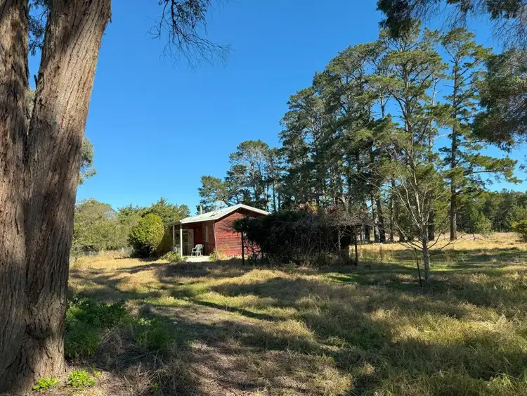 Third view of Homely rural property listing, 44 Mcnicol Lane, Cottonvale QLD 4375