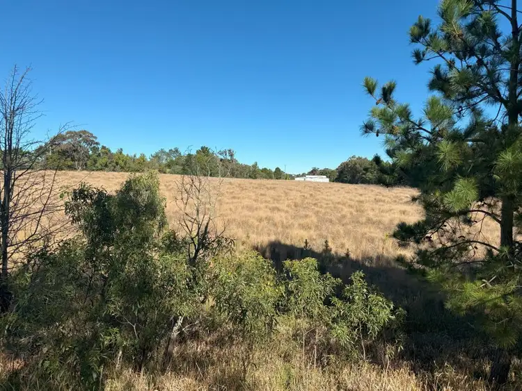 Fifth view of Homely rural property listing, 44 Mcnicol Lane, Cottonvale QLD 4375