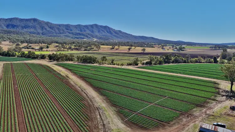 Main view of Homely rural property listing, Lot 2 Watkins Dr, Thornton QLD 4341