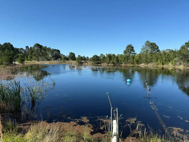 Second view of Homely land listing, Lot 1 McNichol Lane, Cottonvale QLD 4375