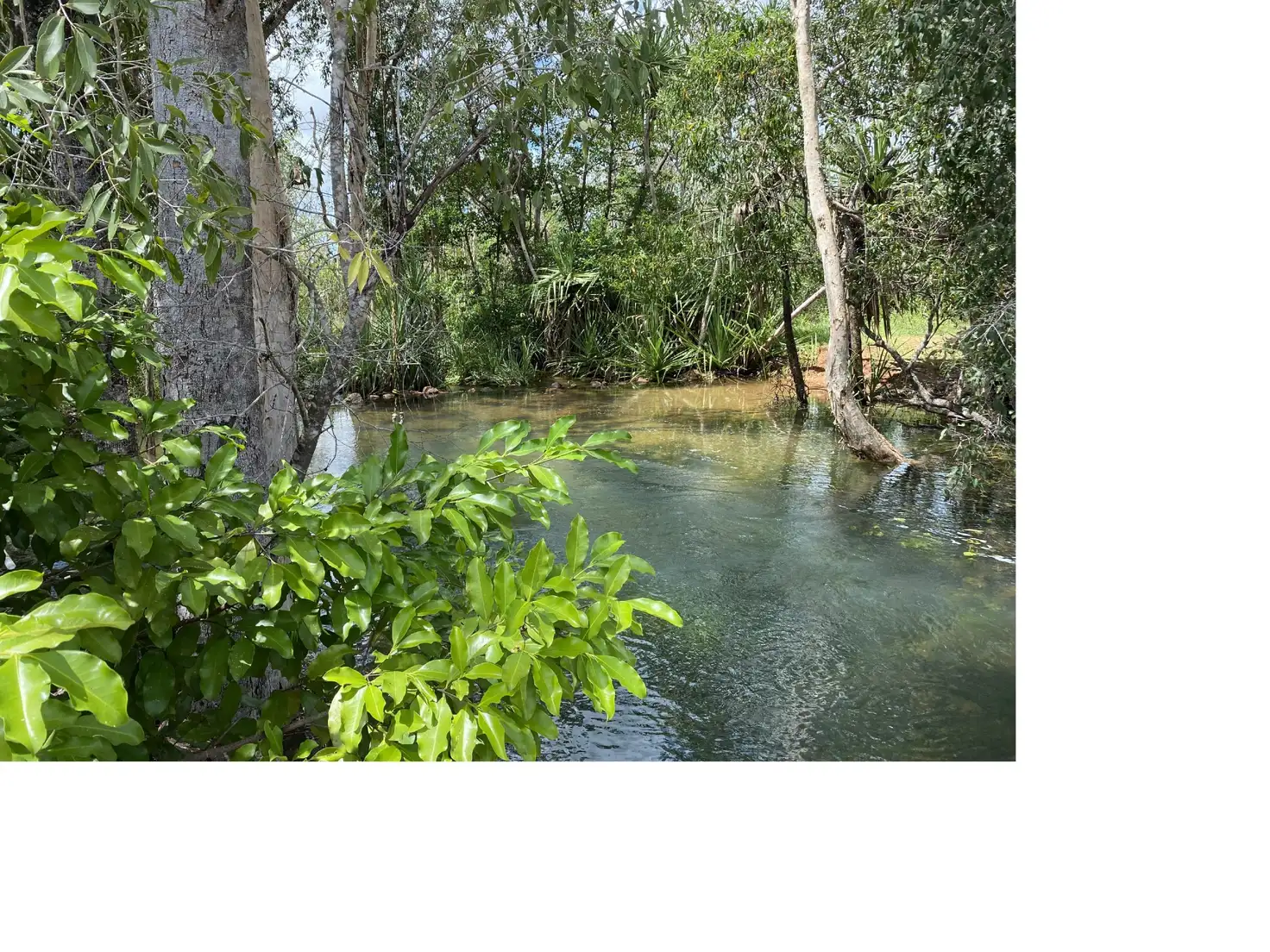 Main view of Homely rural property listing, Address available on request