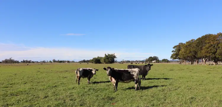 Sixth view of Homely rural property listing, Lot/2 Austral Eden Inner Road, Austral Eden NSW 2440