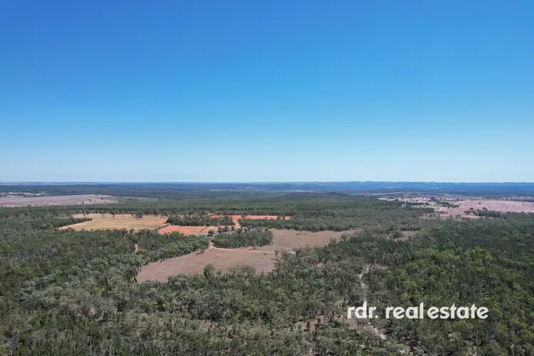 Main view of Homely rural property listing, 526 Bedwell Downs Rd, Ashford NSW 2361