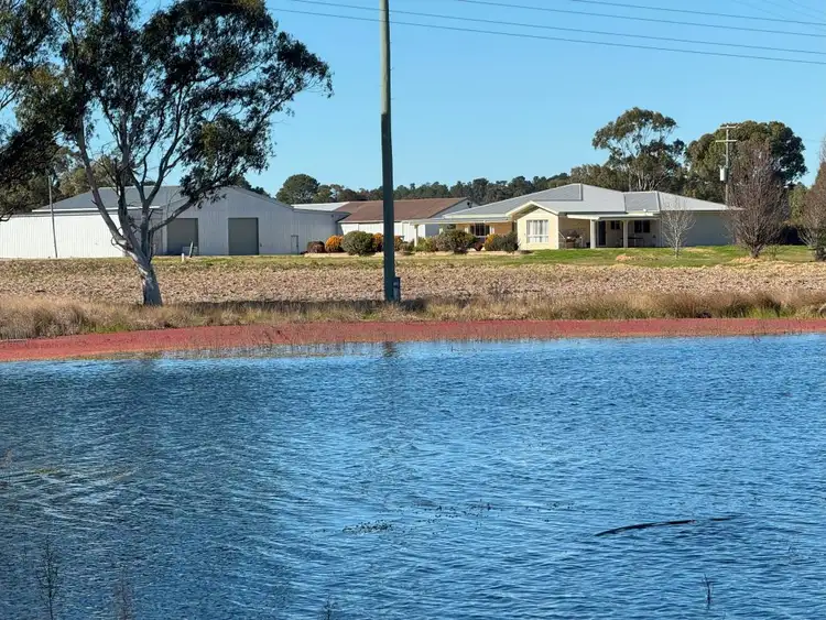 Main view of Homely rural property listing, 79 Cottonvale School Rd, Cottonvale QLD 4375