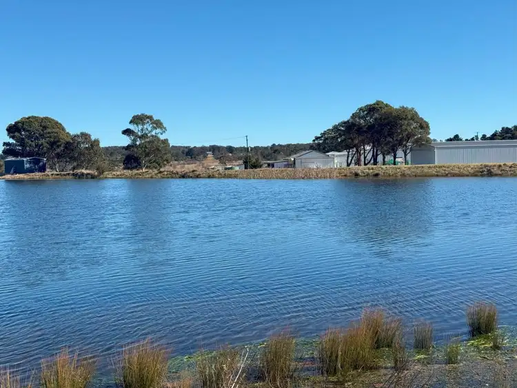Second view of Homely rural property listing, 79 Cottonvale School Rd, Cottonvale QLD 4375