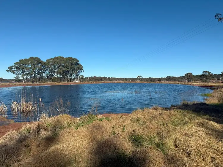 Fourth view of Homely rural property listing, 79 Cottonvale School Rd, Cottonvale QLD 4375