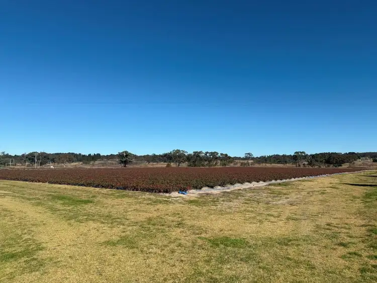 Fifth view of Homely rural property listing, 79 Cottonvale School Rd, Cottonvale QLD 4375