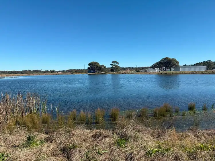 Sixth view of Homely rural property listing, 79 Cottonvale School Rd, Cottonvale QLD 4375