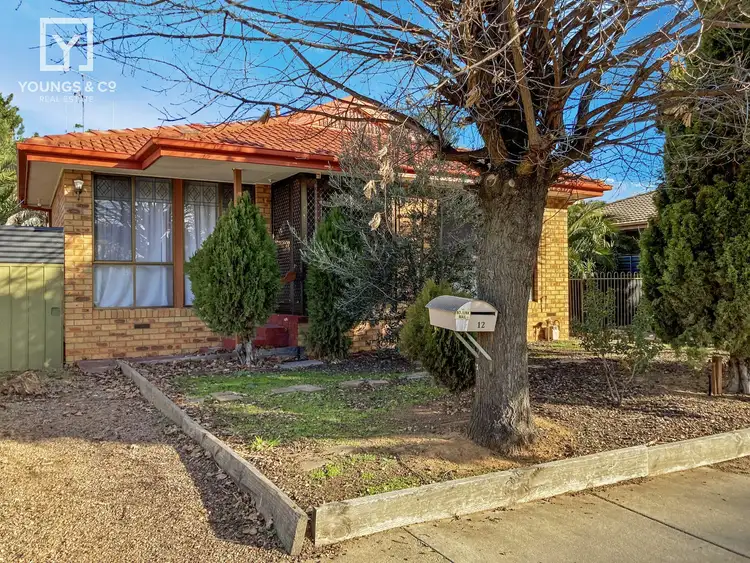 Main view of Homely house listing, 12 Brauman St, Shepparton VIC 3630