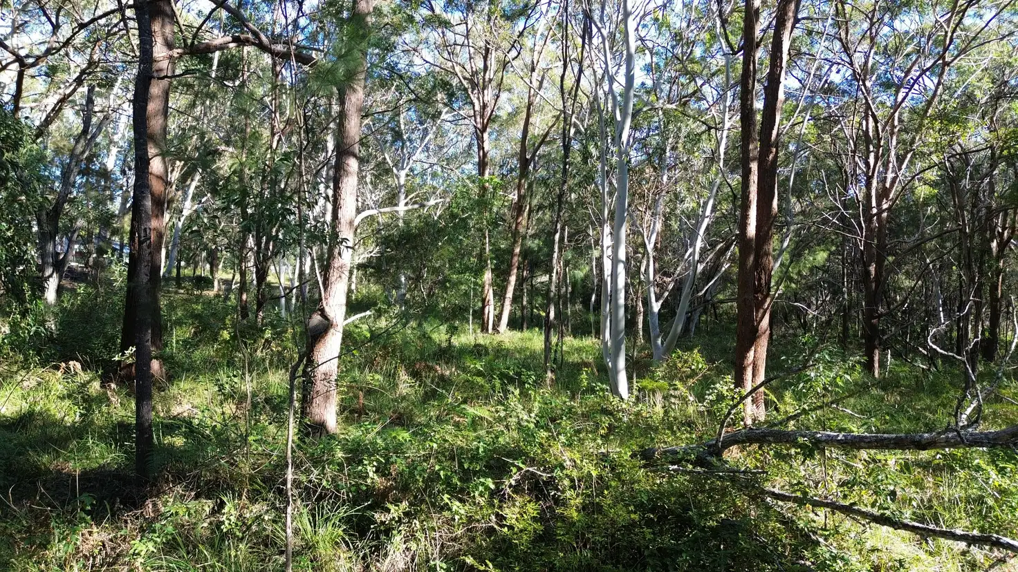 Main view of Homely land listing, 19 Eldon Drive, Russell Island QLD 4184