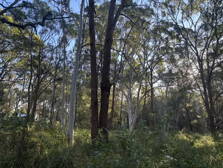 Fourth view of Homely land listing, 19 Eldon Drive, Russell Island QLD 4184