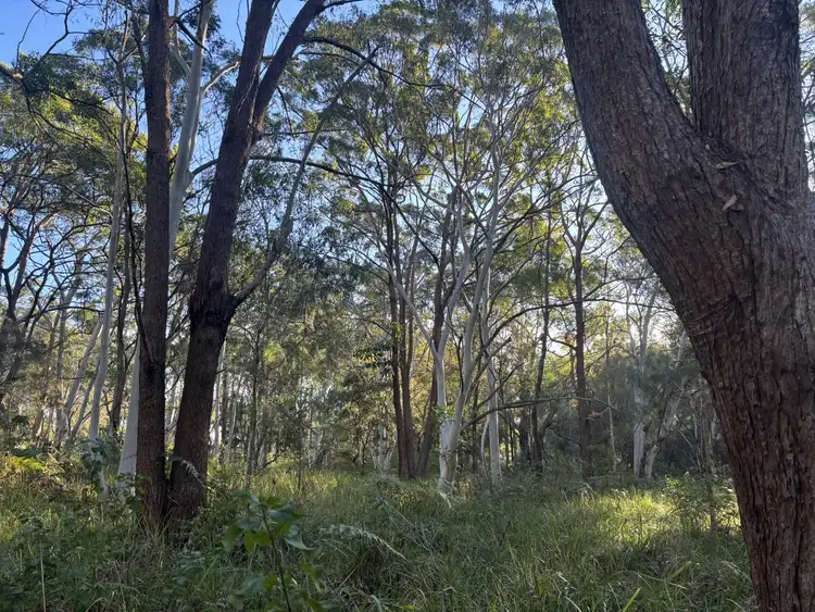 Fifth view of Homely land listing, 19 Eldon Drive, Russell Island QLD 4184