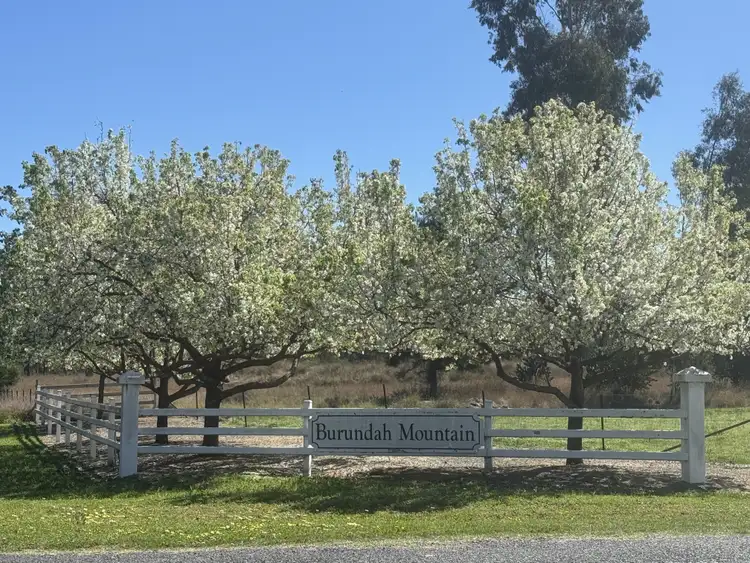 12 Ironbark Drive, Warialda NSW 2402