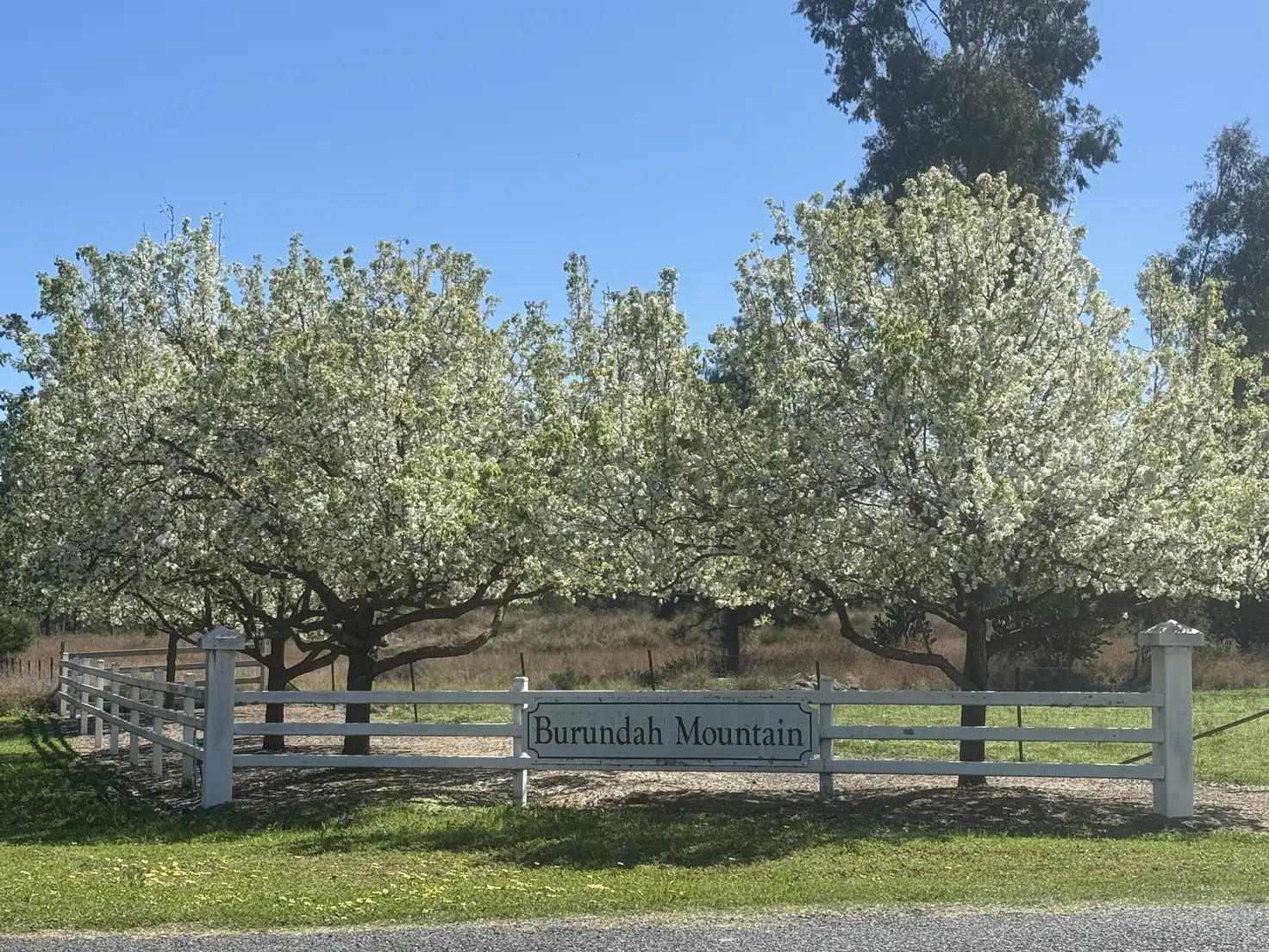 Main view of Homely rural property listing, 12 Ironbark Drive, Warialda NSW 2402