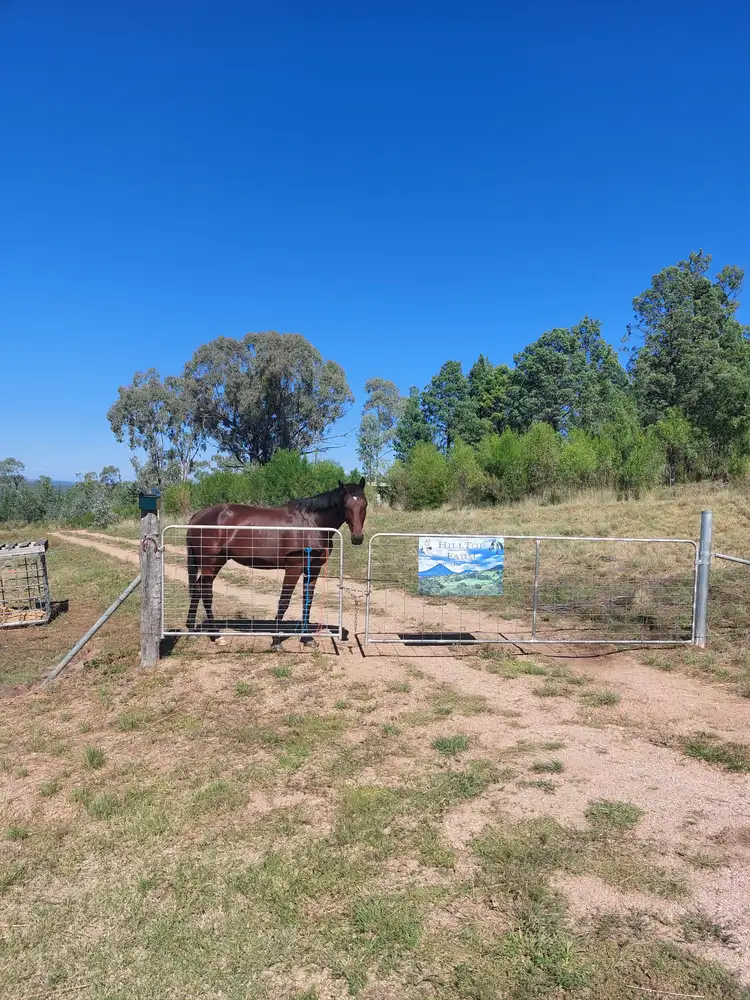 Second view of Homely rural property listing, 12 Ironbark Drive, Warialda NSW 2402