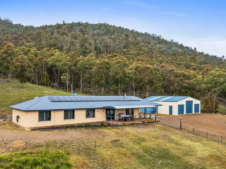 Second view of Homely rural property listing, 643 She Oak Road, Judbury TAS 7109