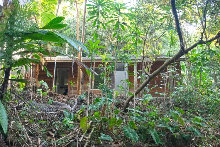 Fourth view of Homely rural property listing, 120 Whing Creek Road, Shell Pocket QLD 4855