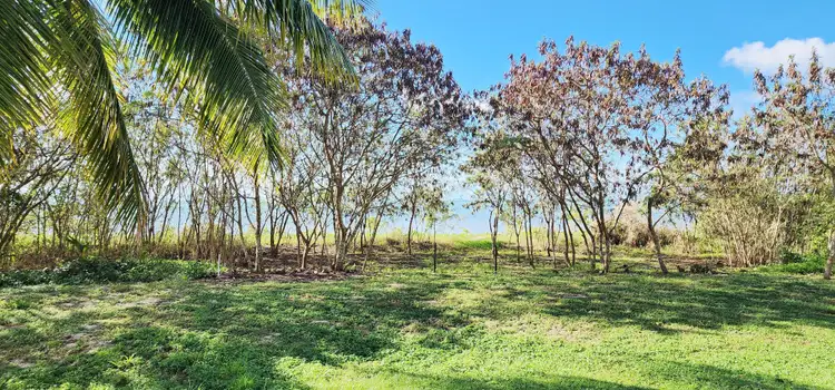 Fifth view of Homely land listing, 43 Keith Williams Dr, Cardwell QLD 4849