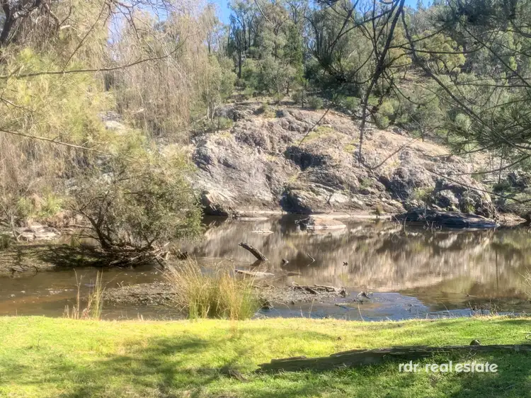 Fourth view of Homely rural property listing, 1225 Pindari Dam Road, Ashford NSW 2361