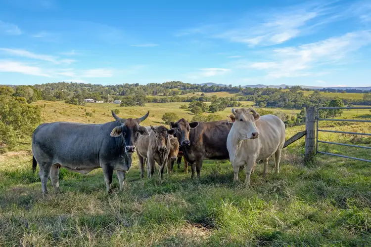 Second view of Homely rural property listing, 92 Cavanagh Rd, Greens Creek QLD 4570